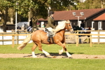 SBM_26411