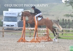 BPP_9085