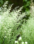 JUNE 2014-6