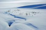 Kongsfjordfjellet, Varanger peninsula, Finnmark, Norway