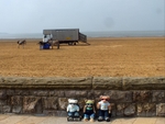 Donkey Rides
