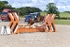 BPP_3825