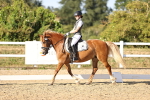 SBM_007717