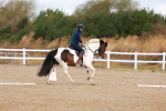 SBM_009691