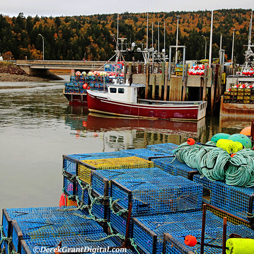 Getting Ready for the Launch to the Lobster Season in Alma New Brunswick Canada