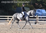 BPP_9446