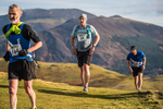 Sale Fell-395