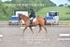 BPP_9441