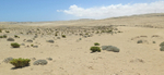 Namibia Ludertitz Kolmanskop view and desert floor 2