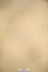 251004A-150025-01623