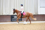 SBM_010217
