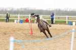 SBM_004373