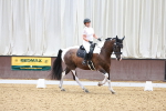 SBM_000291