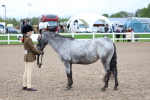 SBM_00250