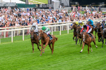 250725-Race 5-Sand Gazelle-0707
