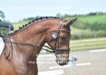 JAC_5489