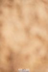 240526A-091250-07031