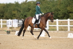 SBM_009646
