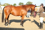 SBM_00027
