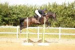 SBM_010491