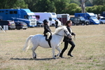 WJ6_7843