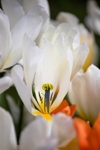 IMG_7477 v2
