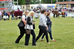 EQUISCOT 9408