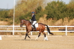SBM_016534