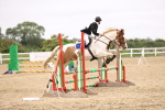SBM_001184