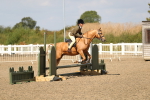 SBM_03335