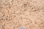 250424-093238-03616