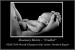 Rosemary - PSNZ 2010 Overall Champion Slide - Northern Region