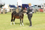 SBM_00450