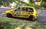 Hillclimb_25-05-2015_CAR-30