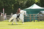 SBM_07060