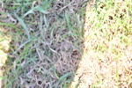 SBM_18258