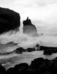 Portcoon Stack, Causeway Headlands (08030241)
