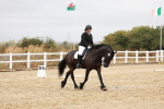SBM_001915