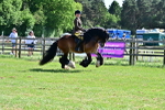 SBM_09320