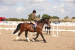 SBM_03468