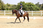 SBM_003923