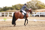 SBM_016980