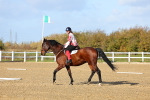 SBM_002069