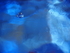 P7080173
