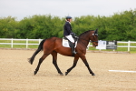 SBM_004656