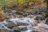 Padley Gorge