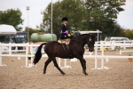 SBM_05530