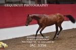JAC_5356