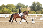 SBM_008663
