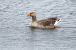 20140417-3K8A0173